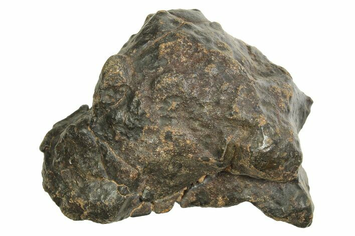Chondrite Meteorite ( g) - Western Sahara Desert #296246